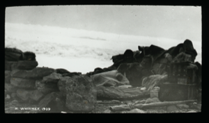Image of Camp on the way to Humboldt Glacier; Mr. Whitney in the foreground 